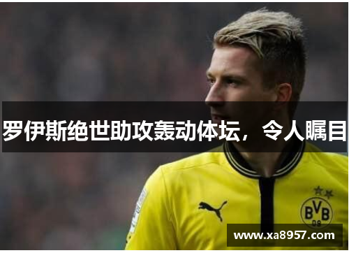 罗伊斯绝世助攻轰动体坛,令人瞩目